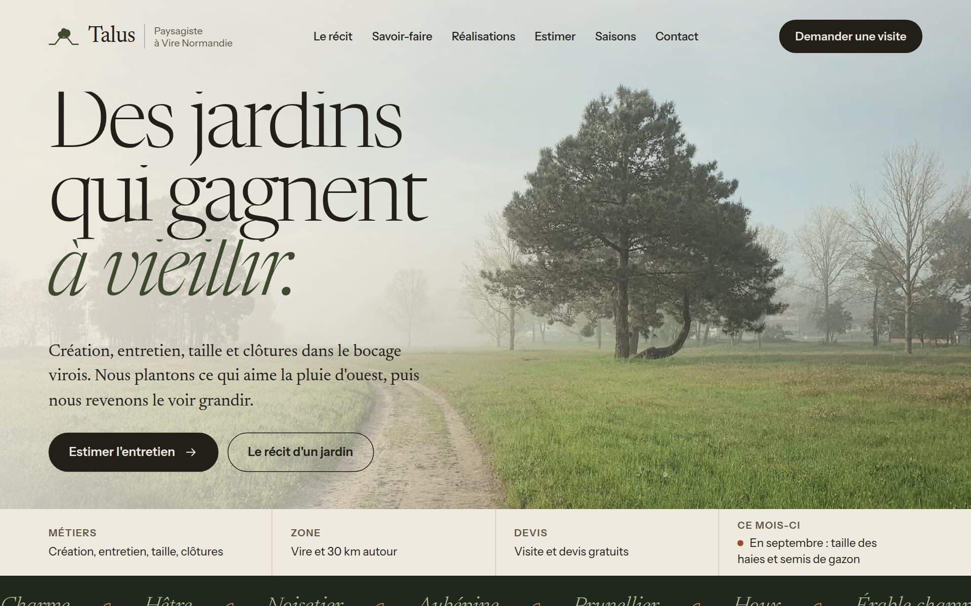 Page d'accueil du site proposé, sur ordinateur