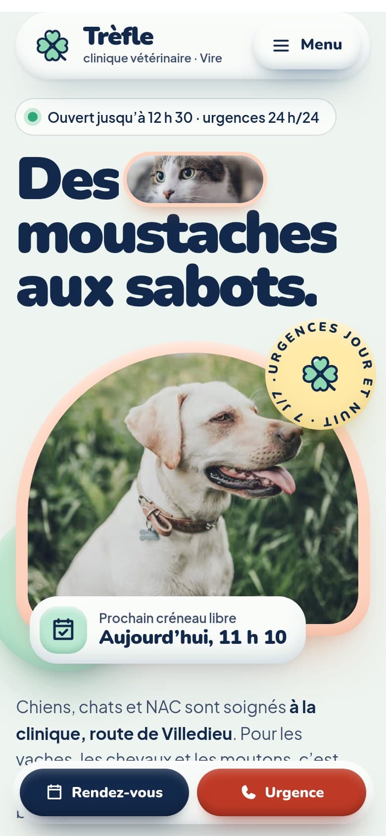 Page d'accueil du site proposé, sur téléphone